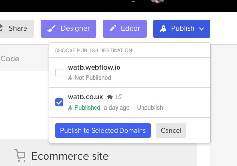 screenshot of webflow publish dialog